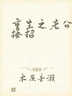 重生之老公,请接招