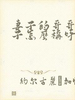 妻子的哥哥的儿子怎么称呼