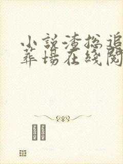 小说渣总追妻火葬场在线阅读