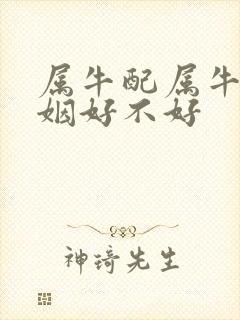 属牛配属牛的婚姻好不好