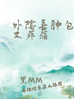 外阴长肿包又疼又疼痛