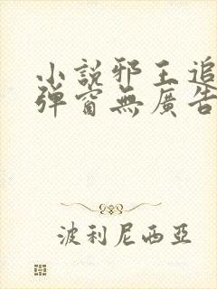 小说邪王追妻无弹窗无广告