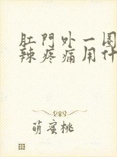 肛门外一圈火辣辣疼痛用什么药