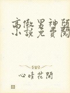 高傲男神堕落记小说免费阅读无弹窗