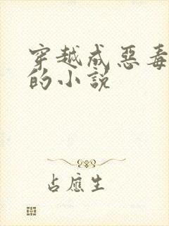 穿越成恶毒女二的小说
