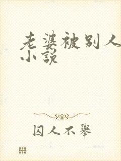 老婆被别人操的小说