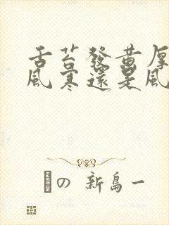 舌苔发黄厚腻是风寒还是风热