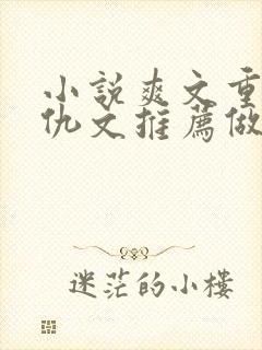 小说爽文重生复仇文推荐做女主