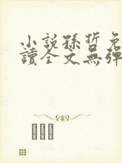 小说孙哲免费阅读全文无弹窗