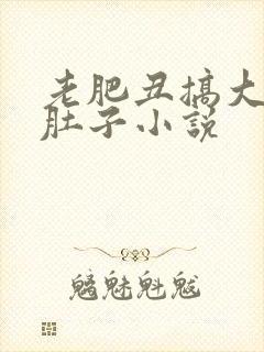 老肥丑搞大美人肚子小说