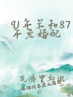 91年羊和87年兔婚配
