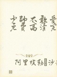 少帅不敢爱短剧免费高清完整版