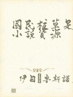 国民校草是女生小说资源