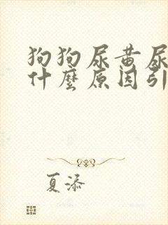 狗狗尿黄尿血是什么原因引起的