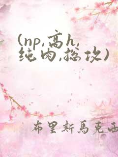 (np,高h,纯肉,总攻)