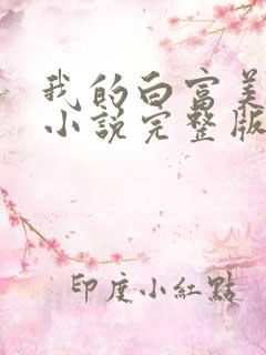我的白富美老婆小说完整版