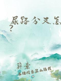 尿路分叉怎回事?