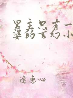 男主只有一个老婆的玄幻小说