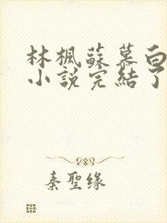 林枫苏慕白穿越小说完结了吗怎么看