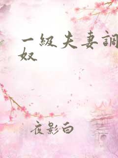 一级夫妻调教男奴