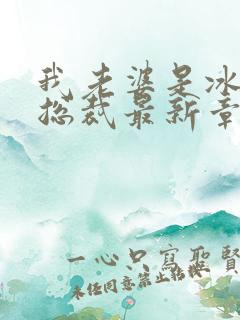 我老婆是冰山女总裁最新章节小说