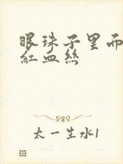 眼珠子里面很多红血丝