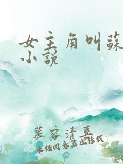 女主角叫苏月的小说