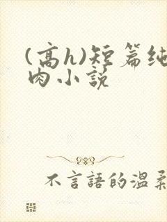 (高h)短篇纯肉小说