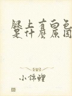 腿上有白色斑点是什么原因造成的