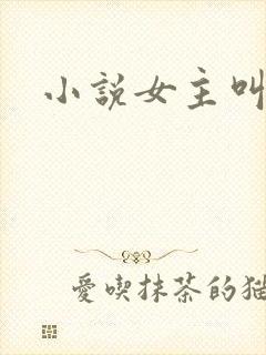 小说女主叫江晚