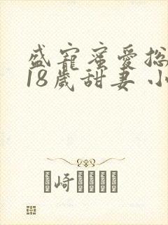 盛宠蜜爱总裁的18岁甜妻 小说