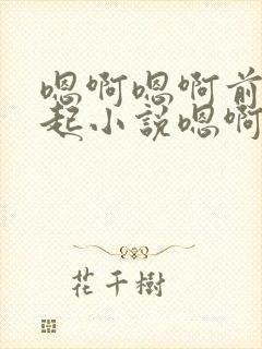 嗯啊嗯啊前后一起小说嗯啊