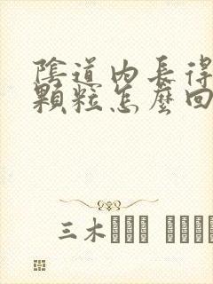 阴道内长得有肉颗粒怎么回事