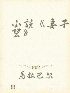 小说《妻子的欲望》