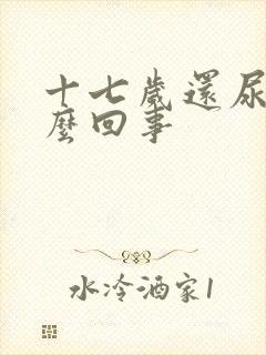 十七岁还尿床怎么回事