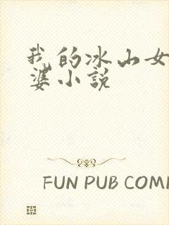 我的冰山女神老婆小说