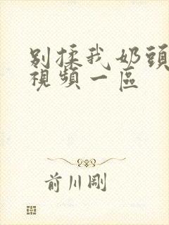 别揉我奶头嗯啊视频一区