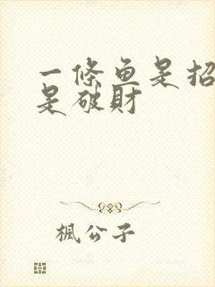 一条鱼是招财还是破财