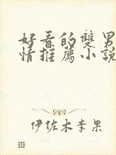 好看的双男主言情推荐小说