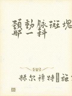 颈动脉斑块要看哪一科