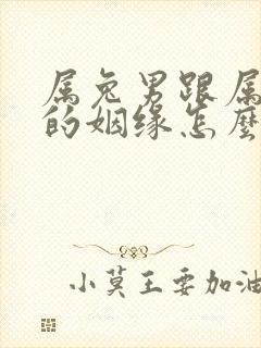 属兔男跟属羊女的姻缘怎么样