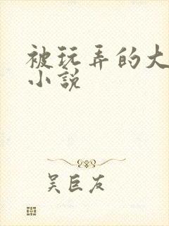 被玩弄的大小姐小说