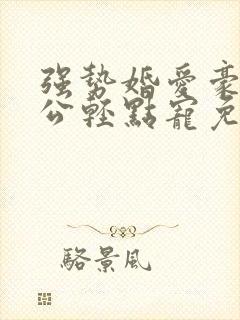 强势婚爱豪门老公轻点宠免费阅读