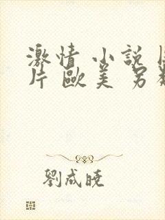 激情 小说 图片 欧美 另类