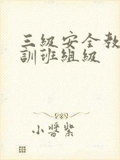 三级安全教育培训班组级