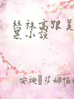 丝袜高跟美腿玉足小说