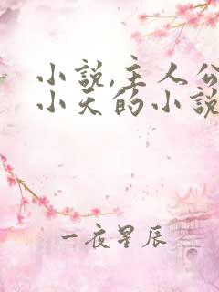 小说,主人公杨小天的小说