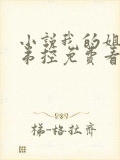 小说我的姐姐很弟控免费看