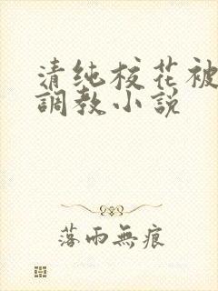 清纯校花被地狱调教小说