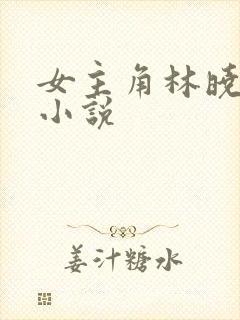 女主角林晓雨的小说